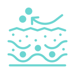 Exfoliation Hair Follicles